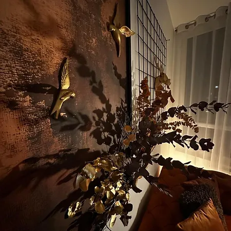 Orange S Parkovacim Mistem V Centru Mesta Apartment Ceske Budejovice