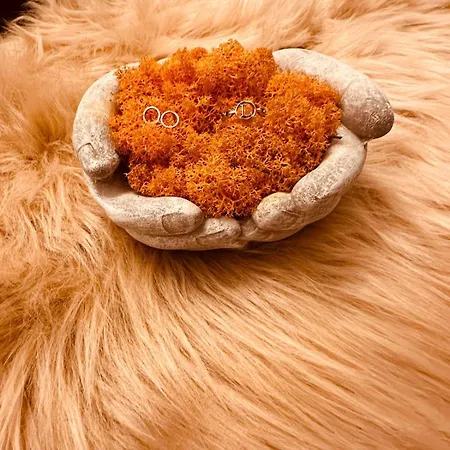 Apartment Orange S Parkovacim Mistem V Centru Mesta