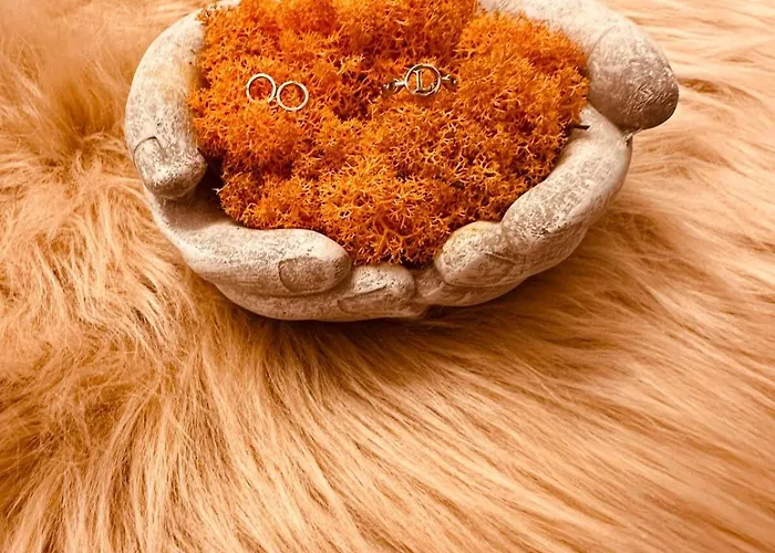 아파트 Orange S Parkovacim Mistem V Centru Mesta